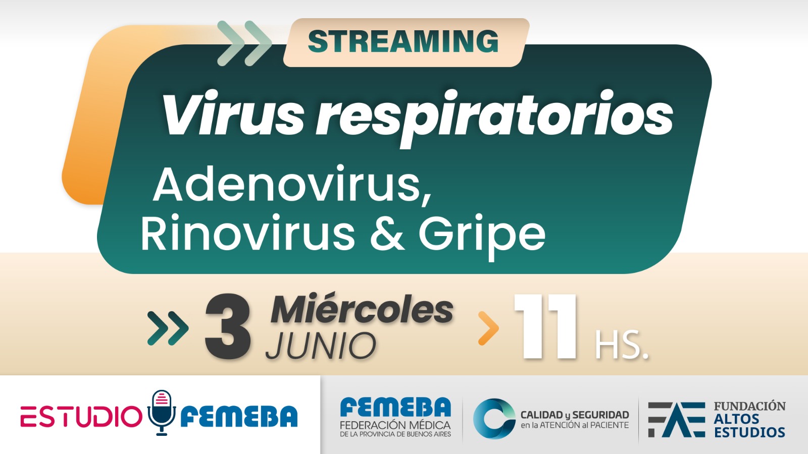 Streaming #18 de Estudio FEMEBA. Virus respiratorios: adenovirus, rinovirus y gripe.